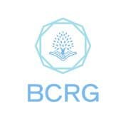 Bonding Curve Research